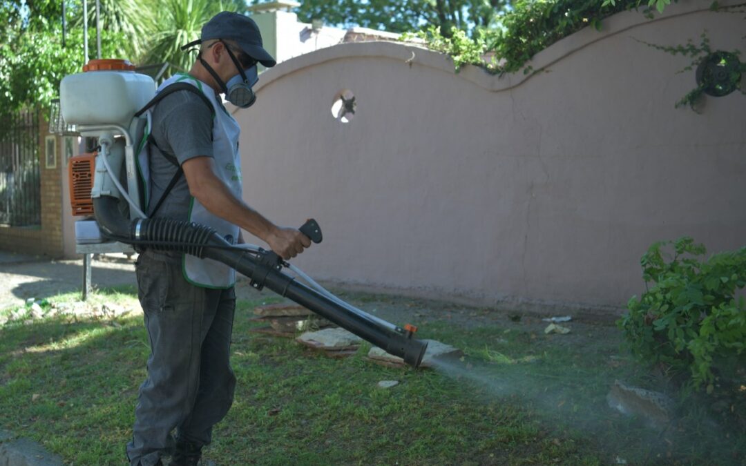 DENGUE: RECOMENDACIONES Y CUIDADOS ANTE EL AUMENTO DE CASOS