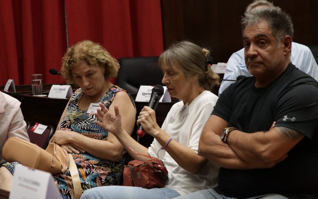 Se llevaron a cabo las Audiencias Públicas en el HCD de Morón
