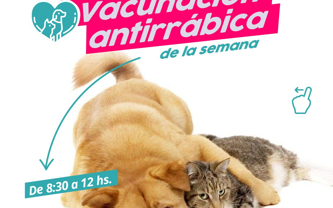VACUNACIÓN ANTIRRÁBICA EN HURLINGHAM