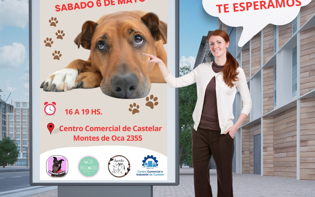 HOY: Jornada de Adopción Responsable en la Cámara de Comercio de Castelar