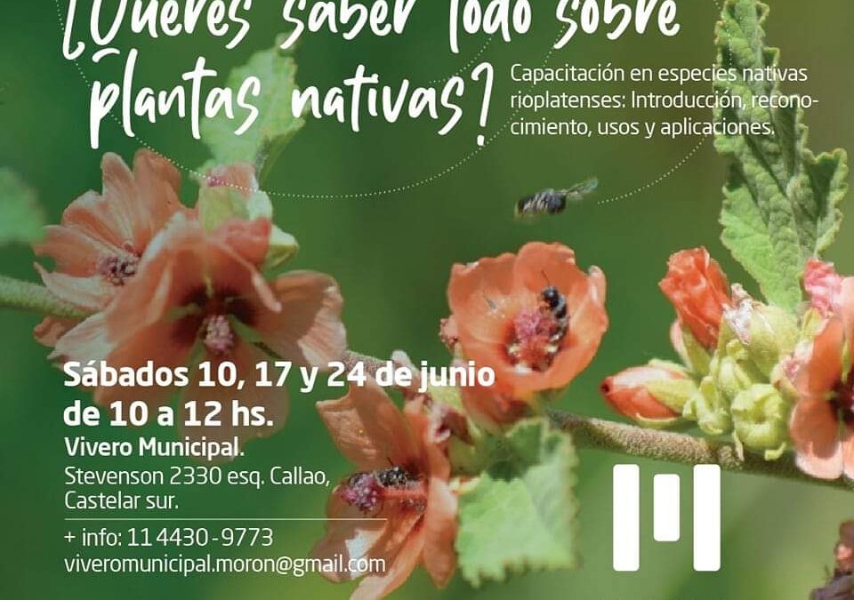 MORON: Capacitaciones sobre Plantas Nativas