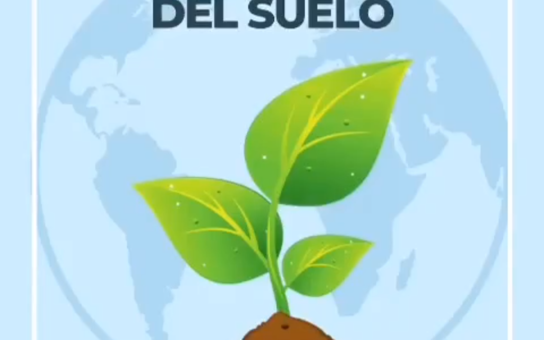 7 de Julio: Día Internacional de la Conservación del Suelo