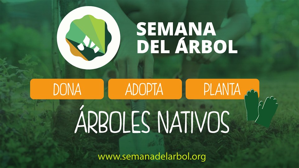 24 al 31 de Agosto: Semana del árbol