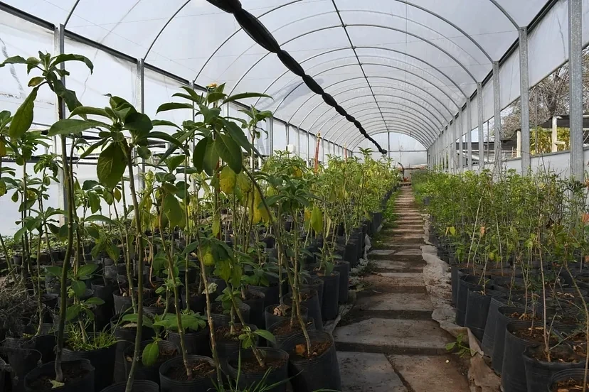 MORÓN: El municipio fortalece espacios relacionados con el ambiente y la agroecología