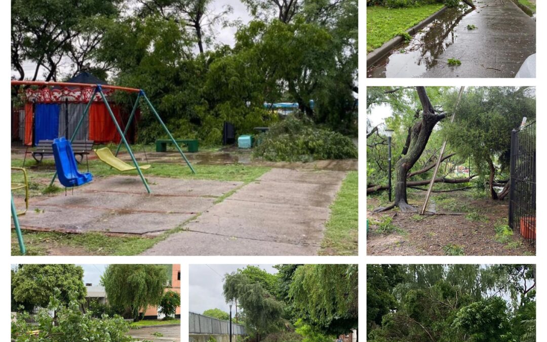 El temporal causó destrozos en Morón Hurlingham, e Ituzaingó
