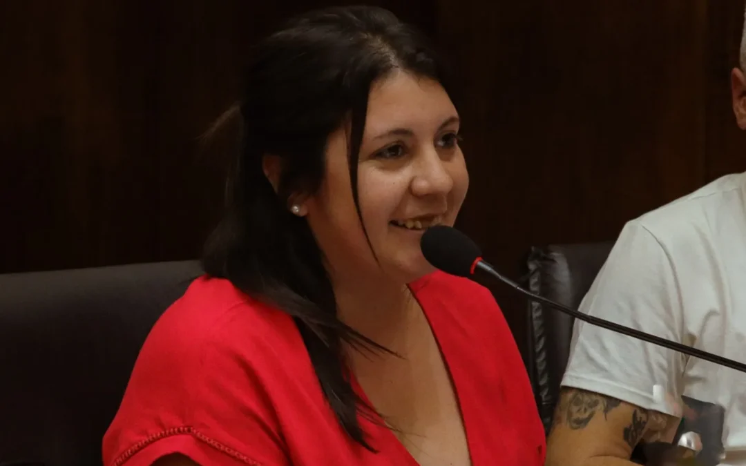 MORÓN: El HCD aprobó el programa de beneficios fiscales para comercios