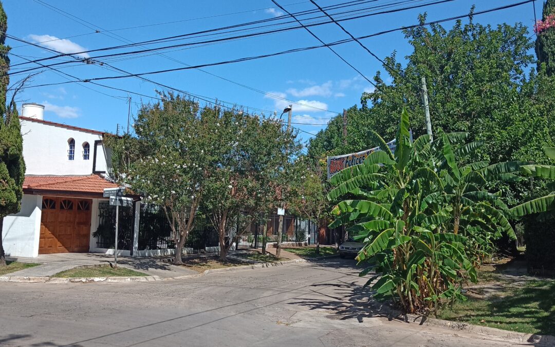 CASTELAR: REITERADOS HECHOS DE INSEGURIDAD SUCEDEN EN LA ZONA DE CASTELAR NORTE. LOS VECINOS RECLAMAN SEGURIDAD!!!