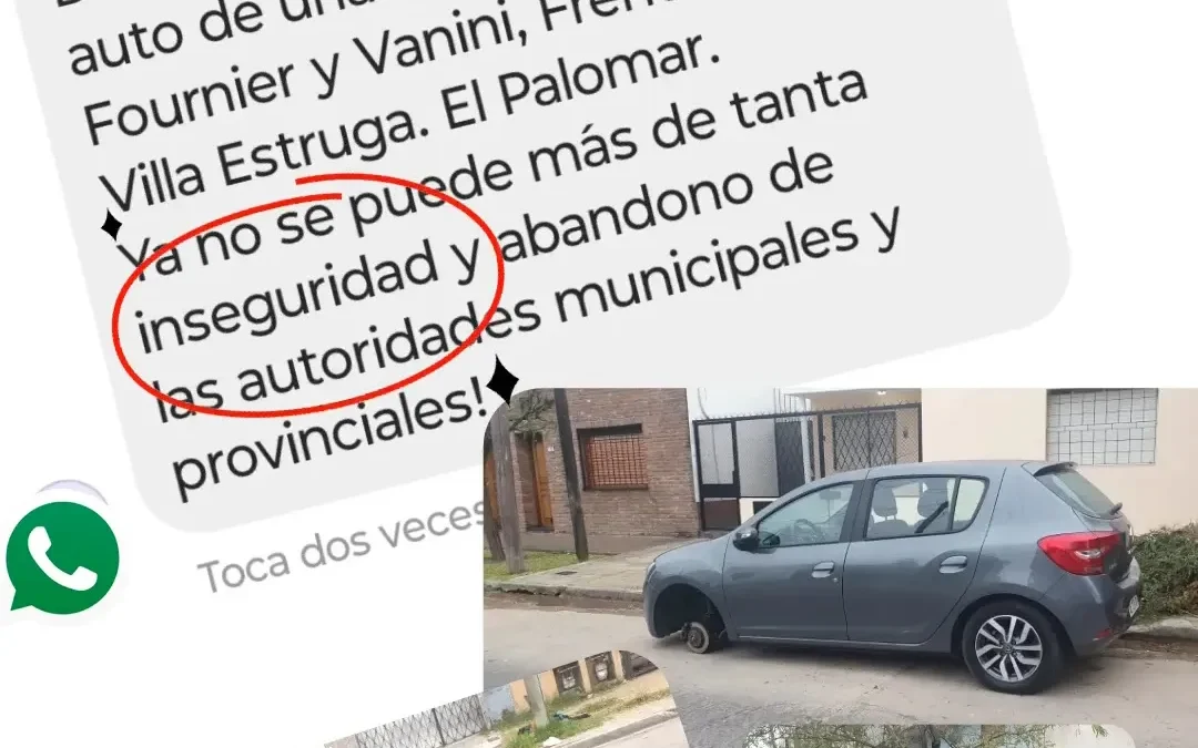 INSEGURIDAD EN EL PALOMAR