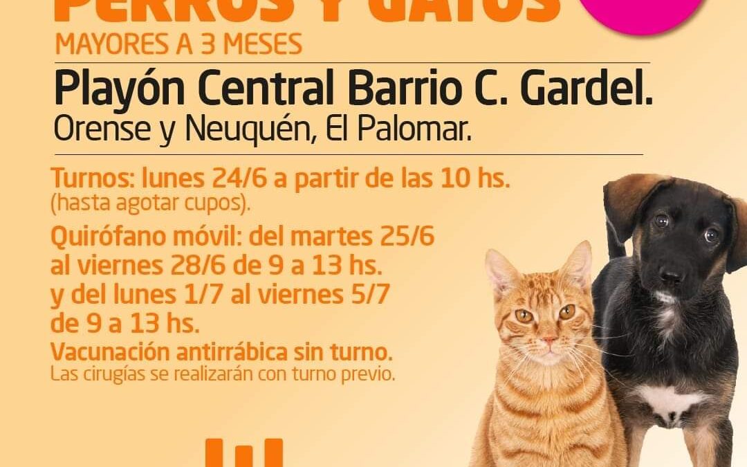 PALOMAR: SEMANA DE SALUD ANIMAL EN EL BARRIO CARLOS GARDEL