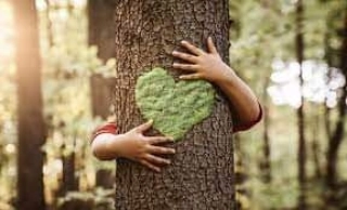 5 de junio: Día Mundial del Medio Ambiente