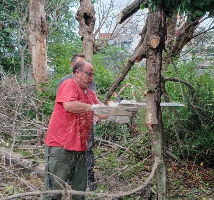 CASTELAR: TRAS LOS DESTROZOS DE LA FUERTE TORMENTA, MANOS A LA OBRA DE LA CUADRILLA LOCAL