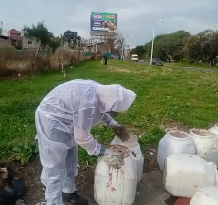 PALOMAR: SE ERRADICÓ UN BASURAL Y SE AVANZA CON ACCIONES LEGALES POR VUELCOS CLANDESTINOS