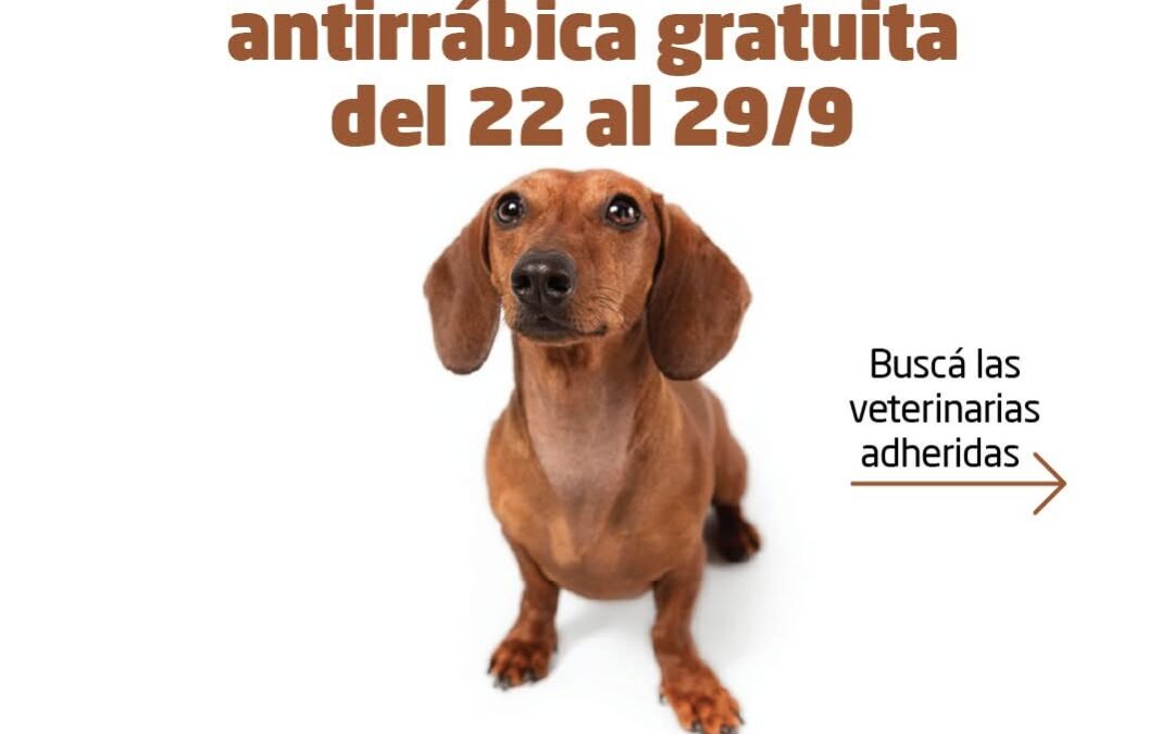 MORÓN: CAMPAÑA GRATUITA DE VACUNACIÓN ANTIRRÁBICA